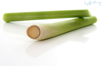 lemon grass